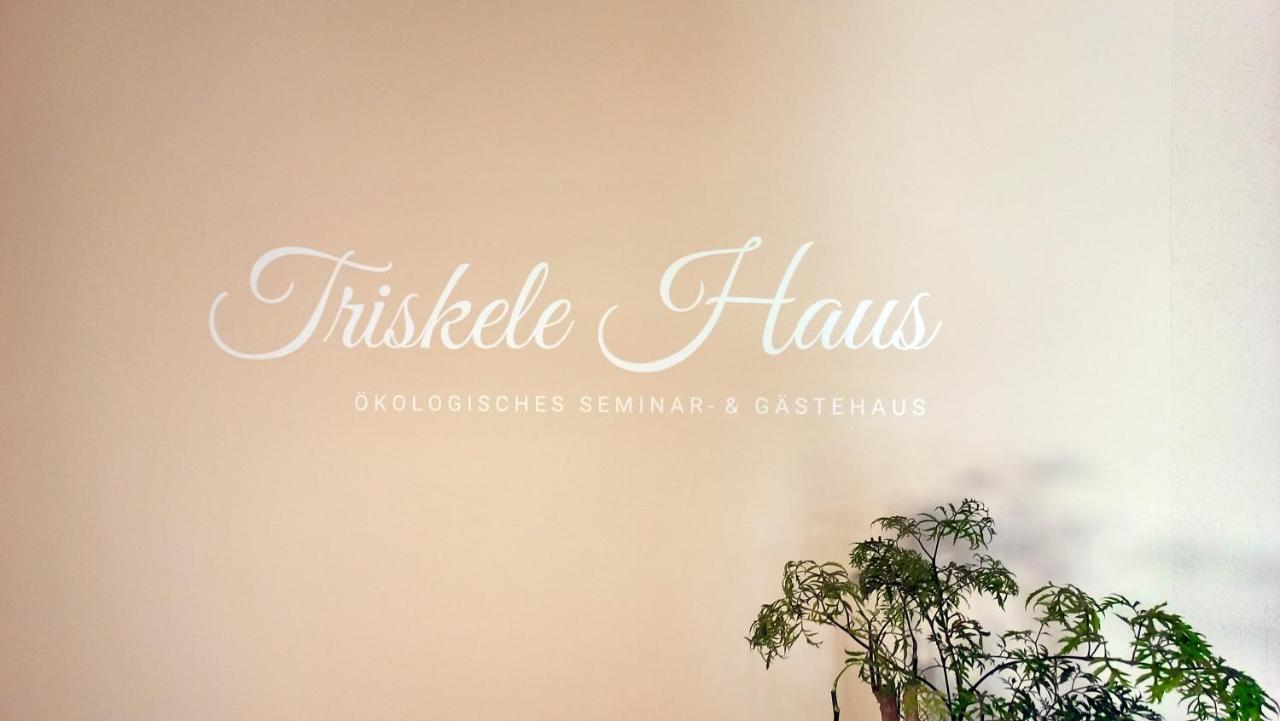 Triskele Haus - Ökologisches Seminar- und Gästehaus Neustrelitz Exterior foto